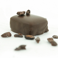 Chocolot Artisan Confections